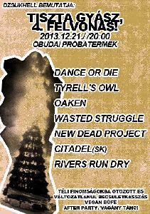 Wasted Struggle, New Dead Project, Oaken, Tyrell's Owl, Rivers Run Dry, Citadel Óbudai Próbatermek