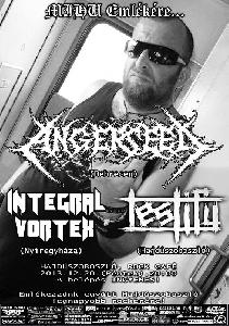 Angerseed, Testify, Integral Vortex