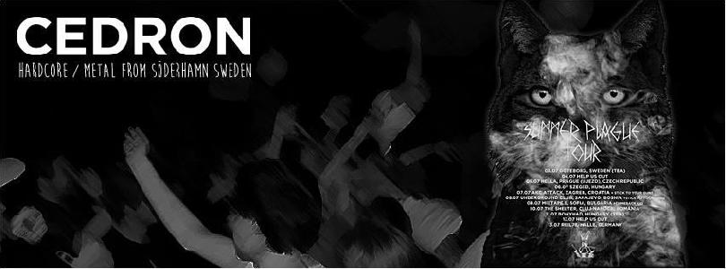 Cedron, Sudden Idea Live Music Club