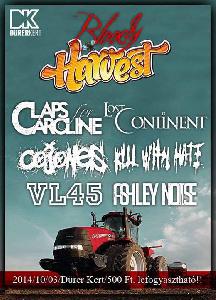 Ashley Noise,  VL45, Kill With Hate, Claps For Caroline, Cojones, Lost Continent Dürer Kert (régi)