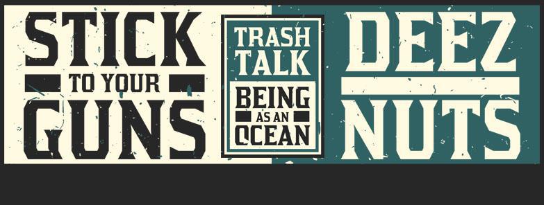 Stick To Your Guns, Deez Nuts, Trash Talk, Being As An Ocean A38 Állóhajó