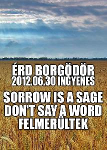 Don't Say A Word, Sorrow Is A Sage, Felmerültek Borgödör