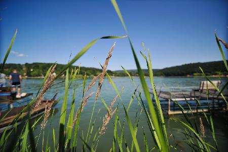 A héten startol az ötödik Fishing on Orfű